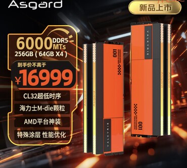 Комплект DDR5-6000 объемом 256 ГБ, с другой стороны, стоит огромные $2 400. (Источник изображения: JD.com)