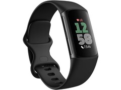 Google расширяет набор функций носимых устройств Fitbit (Источник изображения: Fitbit/Google)