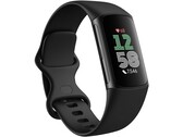 Google расширяет набор функций носимых устройств Fitbit (Источник изображения: Fitbit/Google)