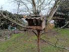 Снимок с основной камеры