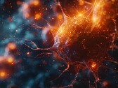 Процесс деградации актина включает в себя точное взаимодействие между тремя белками, которое исследователи описывают как "молекулярный танец". (Источник изображения: TyliJura с сайта Pexels)