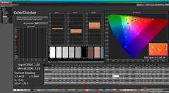 ColorChecker (после калибровки)