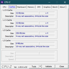 CPU-Z Caches