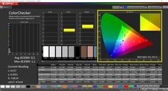 CalMAN ColorChecker (sRGB)