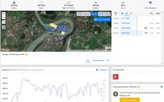 GPS Huawei P Smart Plus (2019)