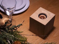 В беспроводной колонке JVCKenwood WDS-01 для изготовления корпуса и динамиков используется дерево. (Источник изображения: JVCKenwood)