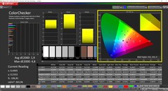 CalMAN ColorChecker (после калибровки, DCI-P3)