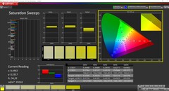 CalMAN saturation (DCI-P3)