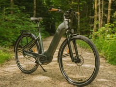 Decathlon Rockrider E-ACTV 900 (на фото) - один из электронных велосипедов, затронутых недавним отзывом. (Источник изображения: Decathlon)