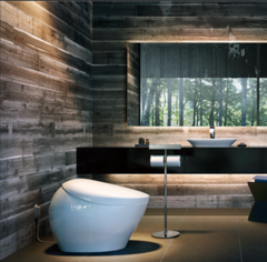 Японский производитель унитазов может извлечь большую выгоду из продолжающегося бума искусственного интеллекта