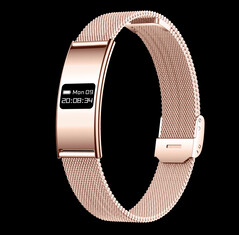 (Источник изображения: Rogbid)