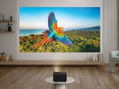 Проектор Optoma Photon Life PH31 (на фото) уже можно предварительно заказать в США. (Источник изображения: Optoma)