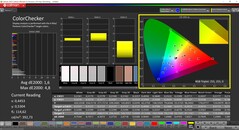 CalMAN ColorChecker (Display P3, DCI-P3)