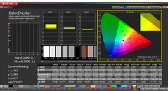 CalMAN ColorChecker (профиль: Vivid, целевое цветовое пространство: P3)