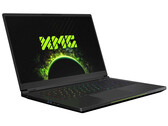 XMG Fusion 15 и прочие ноутбуки на базе Intel QC71 снова поддерживают андервольт (Изображение: XMG)