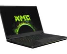 XMG Fusion 15 и прочие ноутбуки на базе Intel QC71 снова поддерживают андервольт (Изображение: XMG)
