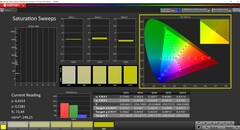 CalMAN Saturation Sweeps (профиль: AdobeRGB, целевое цветовое пространство: AdobeRGB)