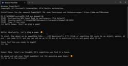 FastFlowLM в Windows PowerShell