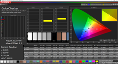 CalMAN ColorChecker (после калибровки)