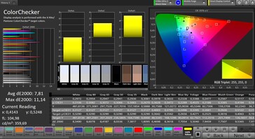 CalMAN ColorChecker ("насыщенный" профиль)