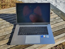 В обзоре: Huawei MateBook D 15 (2022). Тестовый образец предоставлен Huawei