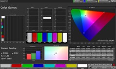 Цветовое пространство (профиль: Original Pro, целевое цветовое пространство: sRGB)