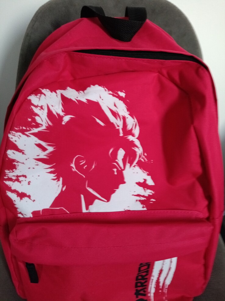 Тестовый снимок рюкзака. (Источник изображения: Сергей Тарасов - Notebookcheck)