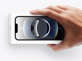 Модель Apple iPhone 16e может получить преемника уже в следующем году. (Источник изображения: Apple)