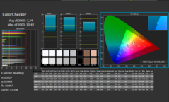 CalMAN - Color Checker