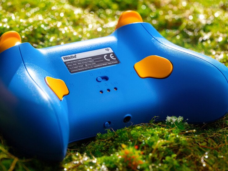 (Источник изображения: 8BitDo)
