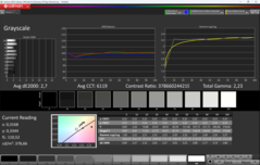 CalMAN Grayscale (профиль: sRGB)