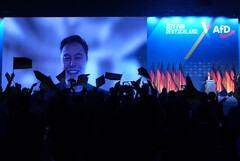 Продажи Tesla резко падают по всей Европе: Политическая деятельность Элона Маска, похоже, вредит компании