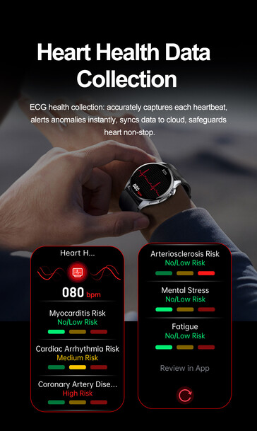 (Источник изображения: Rogbid)