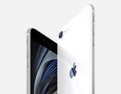 iPhone SE будет доступен в трех расцветках (Изображение: Apple)