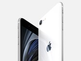 iPhone SE будет доступен в трех расцветках (Изображение: Apple)