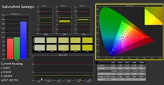 Calman Saturation (после калибровки)