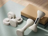 Умные гантели Xiaomi Mijia Smart Dumbbells. (Источник изображения: Xiaomi)