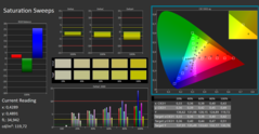 CalMAN ColorChecker saturation (после калибровки)