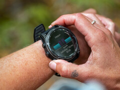 Часы Garmin Fenix 8 должны вскоре получить очередное стабильное обновление. (Источник изображения: Garmin)