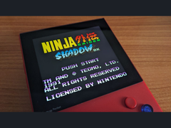 Дразнящее изображение Ninja Gaiden Shadow DX на X (источник изображения: Marc Max)