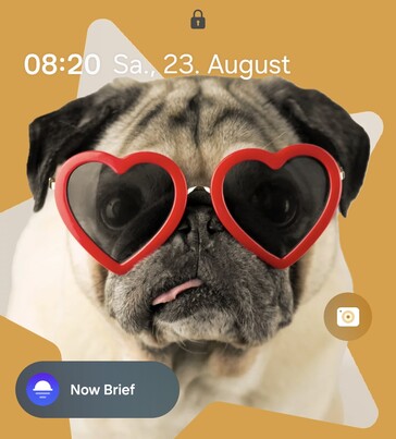 Смартфон Samsung Galaxy Z Flip7