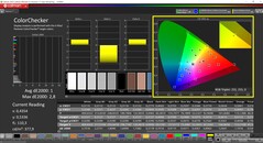CalMAN ColorChecker (профиль: Display P3, целевое цветовое пространство: P3)
