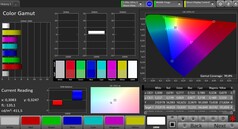 CalMAN: sRGB colour space – Расширенный