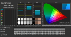 CalMAN - ColorChecker