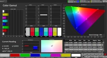 CalMAN DCI P3 color space