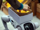 Гуманоидный робот T1, способный превращаться в робота-собаку