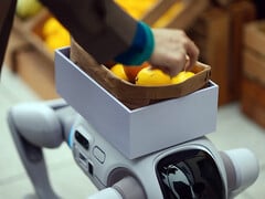 Гуманоидный робот T1, способный превращаться в робота-собаку