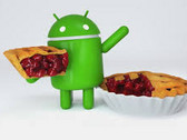 P - значит Pie. (Изображение: Trusted Reviews)
