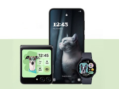 One UI 7 выходит на множество новых устройств уже в мае 2025 года. (Источник изображения: Samsung)