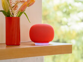 Колонка Google Home в цвете "Берри". (Источник изображения: Google)